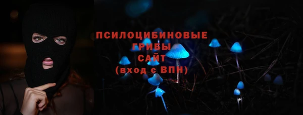 эйфоретик Белокуриха