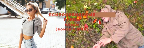 бошки Балахна