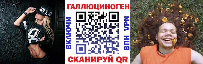 kraken онион  Пятигорск  Галлюциногенные грибы Psilocybe 