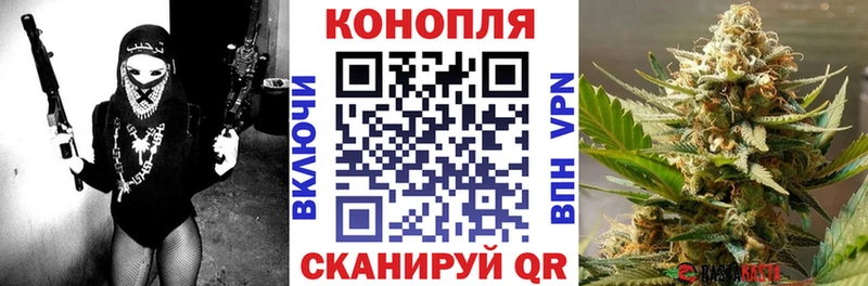 Бошки Шишки SATIVA & INDICA  цены   Пятигорск 